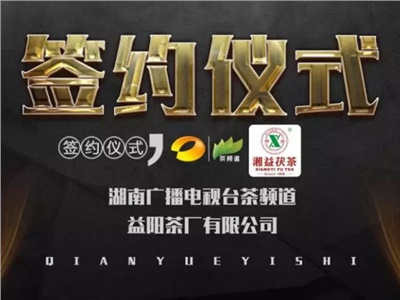湘益茯，美茗揚(yáng) 丨湘益茯茶與茶頻道達(dá)成長期戰(zhàn)略合作