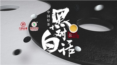 首屆黑白對(duì)話高峰論壇圓滿落幕！湘益茯茶備受關(guān)注！