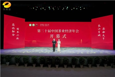 【聚焦第二十屆中國茶業(yè)經(jīng)濟年會】益陽茶廠榮獲“民族團結互助企業(yè)”、“2024年度茶業(yè)重點企業(yè)”榮譽稱號